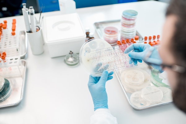 ozonoterapia en animales bactericida