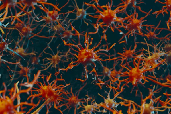 bacterias y ozono