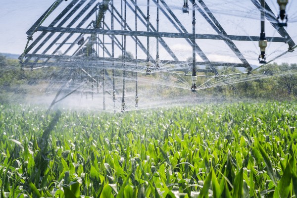 Agua ozonizada en la agricultura: ¿Cómo se utiliza?