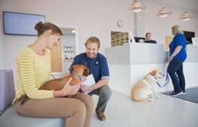 sala de espera en clinica veterinaria